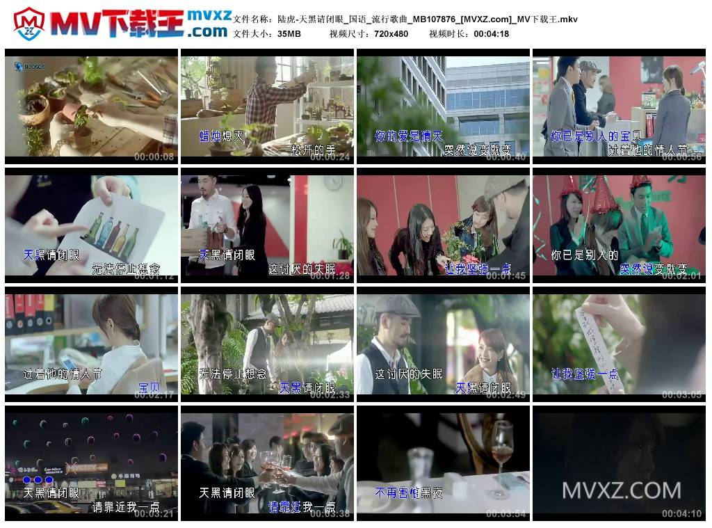 陆虎-天黑请闭眼_国语_流行歌曲_MB107876